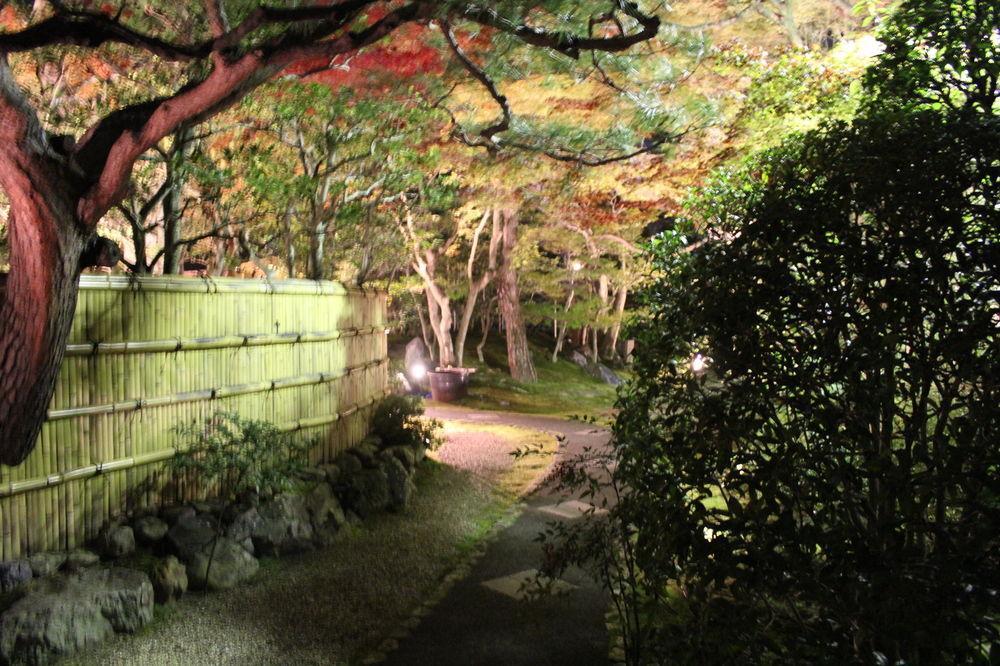 伝心庵 Garden Villa Denshin-An 京都 外观 照片